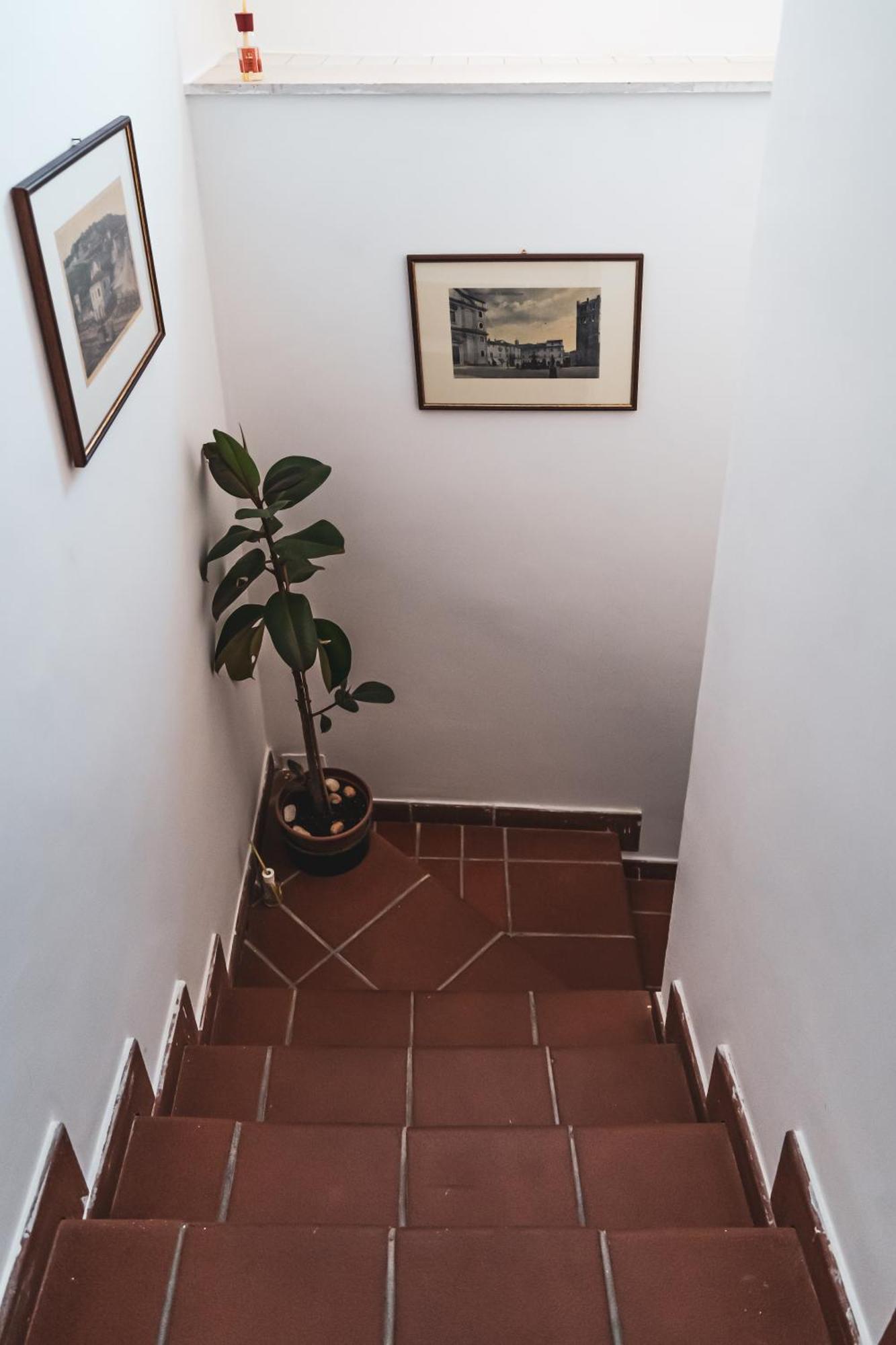 Casina Carina - Intero Appartamento Indipendente Alatri Dış mekan fotoğraf