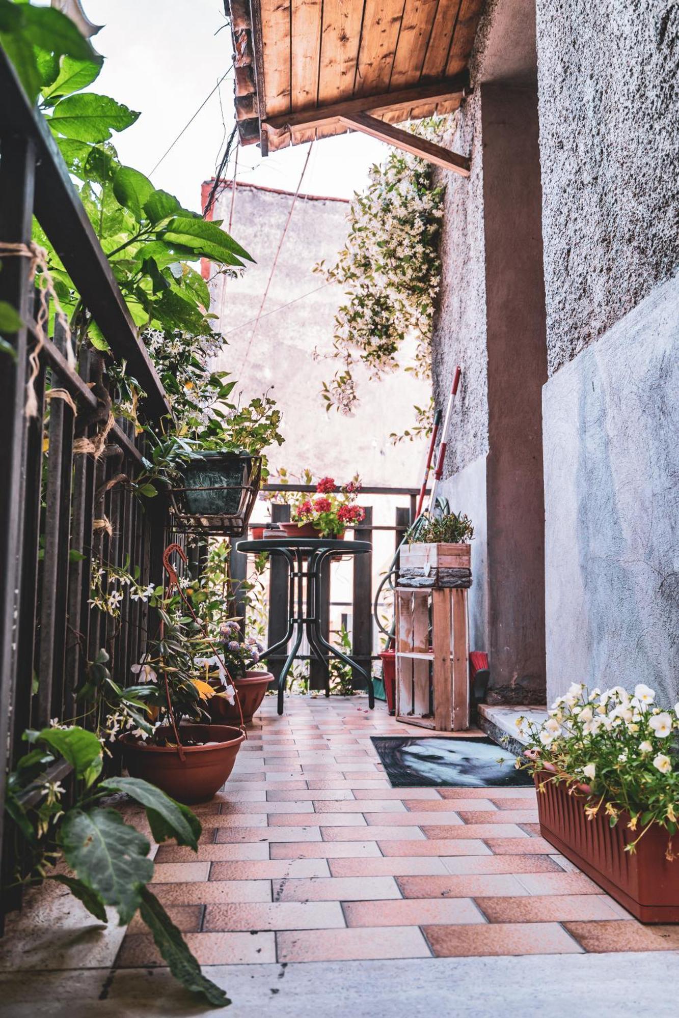 Casina Carina - Intero Appartamento Indipendente Alatri Dış mekan fotoğraf